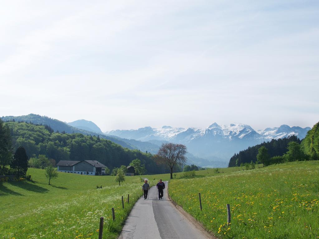 Neuwirt - Boutiquehotel & Wirtshaus バート・ヴィガウン エクステリア 写真